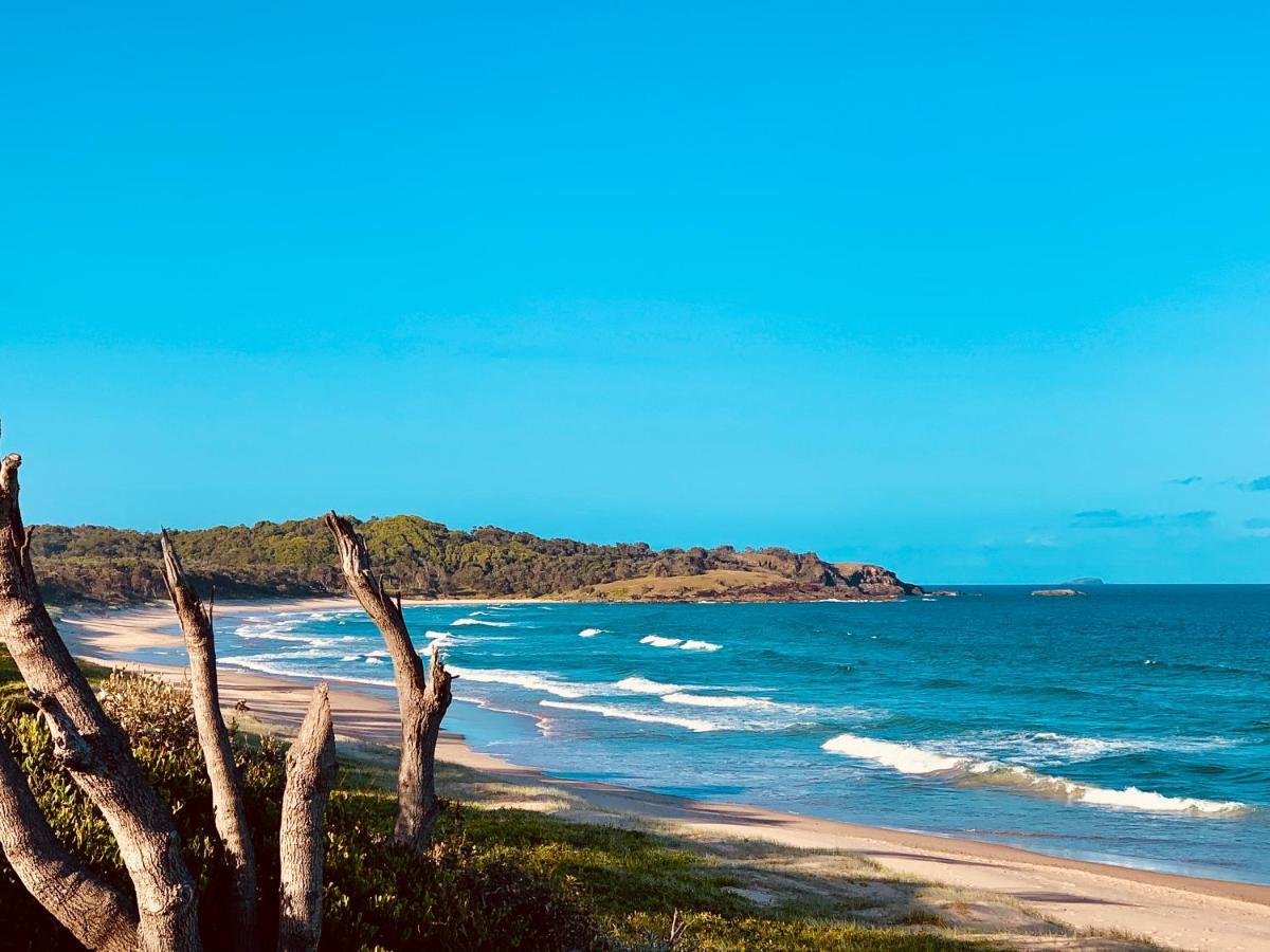 كوفس هاربور Surf Beach Motel Coffs المظهر الخارجي الصورة